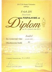 Diplom 4